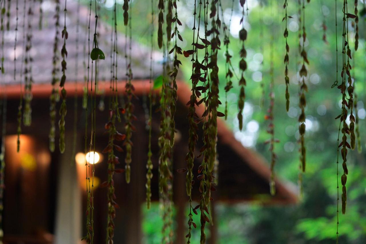 Swasthi Serviced Villa Kanjirapalli Esterno foto